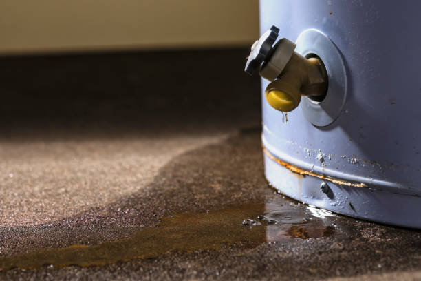 Best 24-hour water damage restoration  in Lindsay, TX