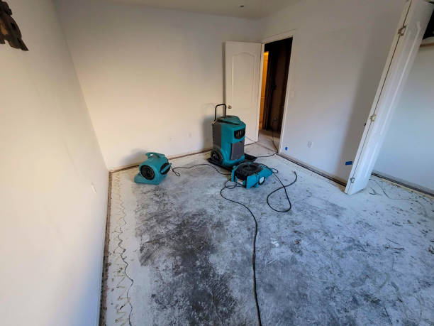 Best Flooded house restoration  in Lindsay, TX