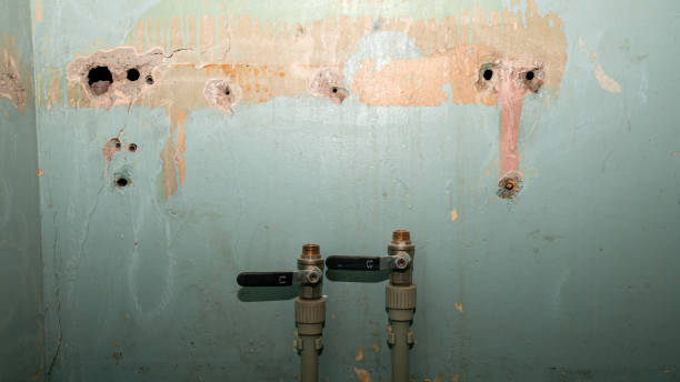 Best Water damage cleanup near me  in Lindsay, TX