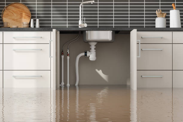 Best Sewage cleanup and water damage restoration  in Lindsay, TX